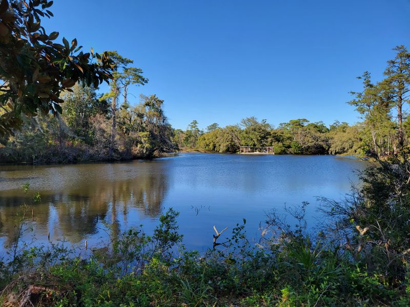 Birding Trails Attract Feathered Residents