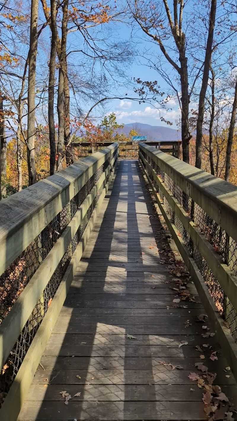 Spectacular Fall Foliage That Draws Visitors From Everywhere