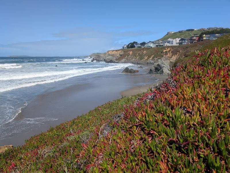 14 Unforgettable Dog Beaches In California That Will Make Your Pup Happier Than Ever - Decor Hint Dillon Beach