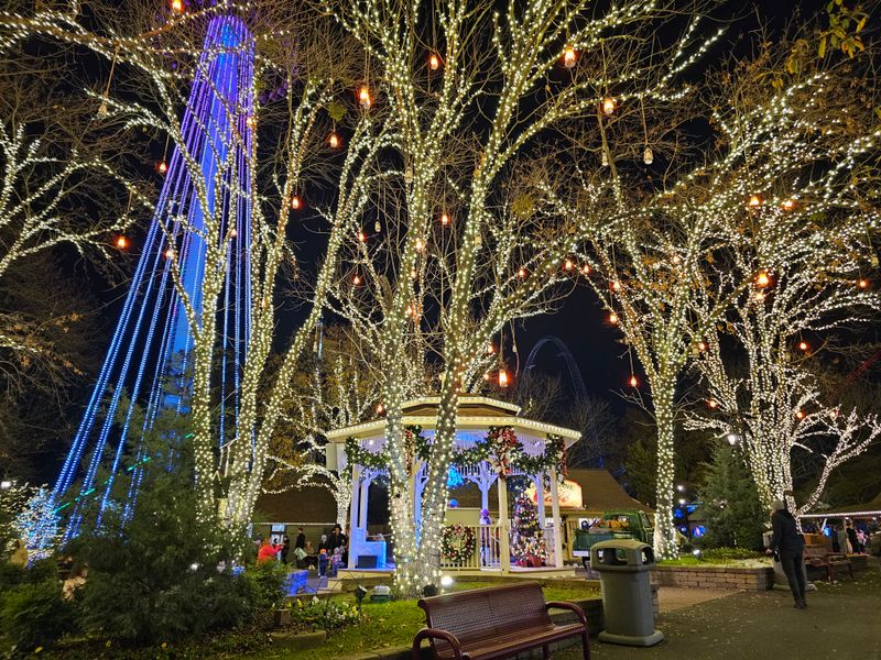 WinterFest Transforms Park Into Holiday Wonderland