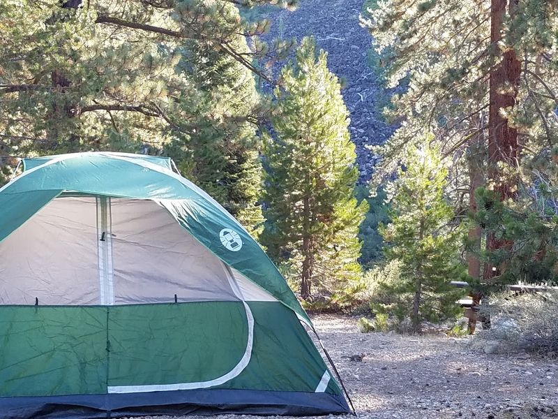 Granite Flat Campground (Seasonally Free Periods)