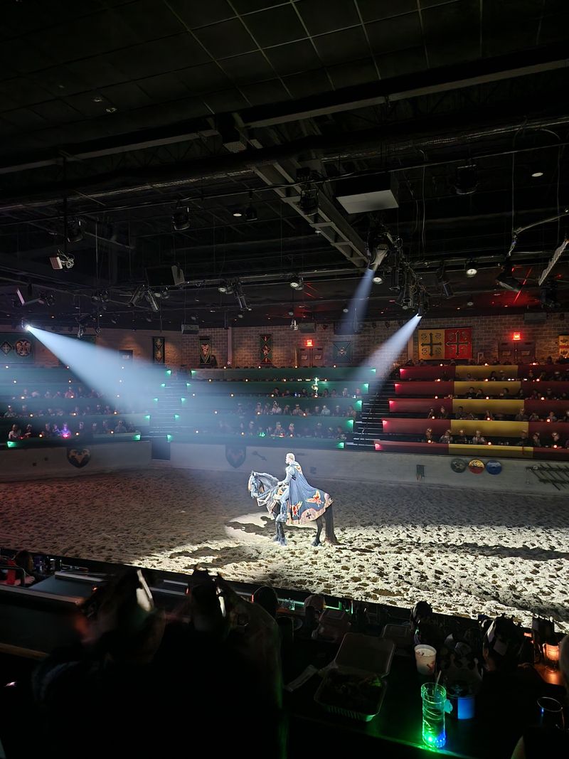 These Legendary Arena Battles Make Medieval Times Georgia A 2026 Bucket-List Pick - Decor Hint Royal Falconry Exhibition Features Birds of Prey