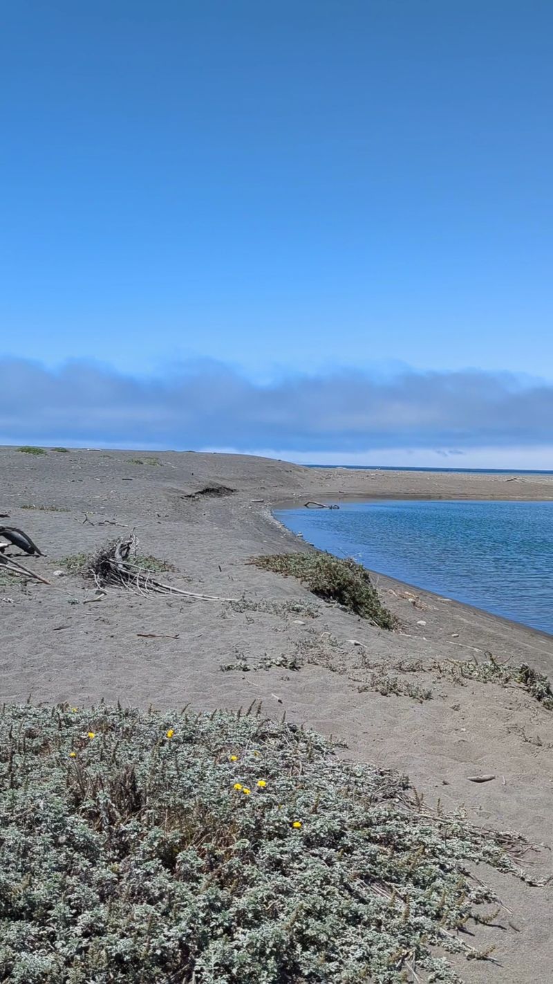 Mattole River Beach