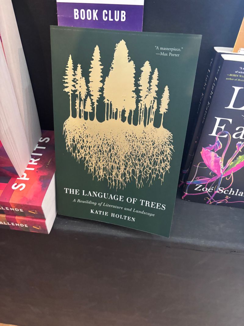 Book Club Picks And Discussion Guides