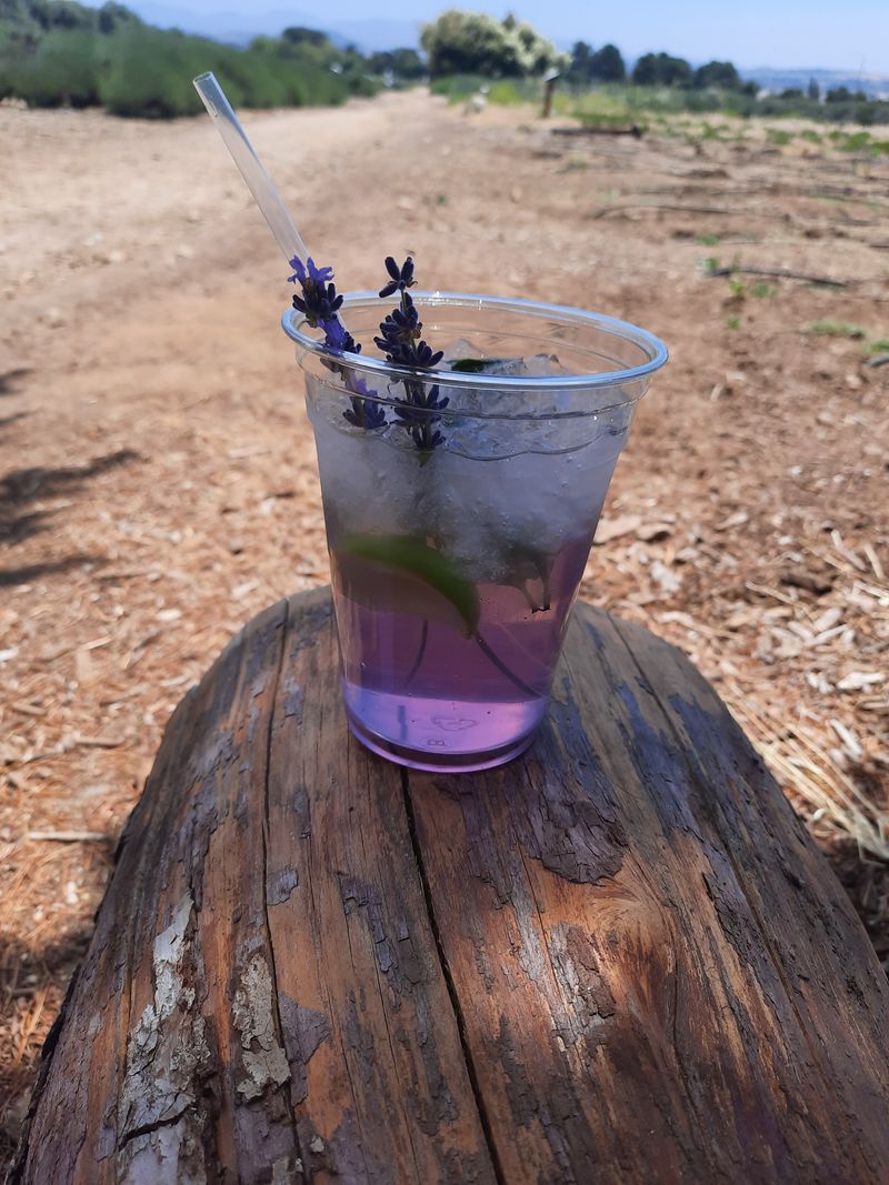 Lavender-Inspired Culinary Offerings