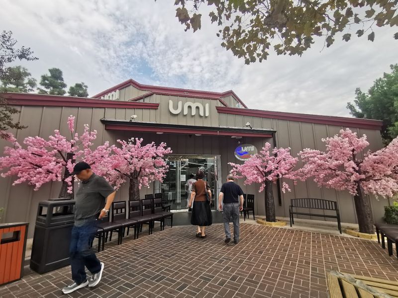Planning A March Visit To Umi: Practical Tips