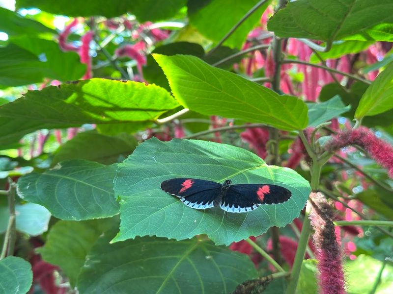 Photography For Personal Use Is Welcome Throughout the Exhibits