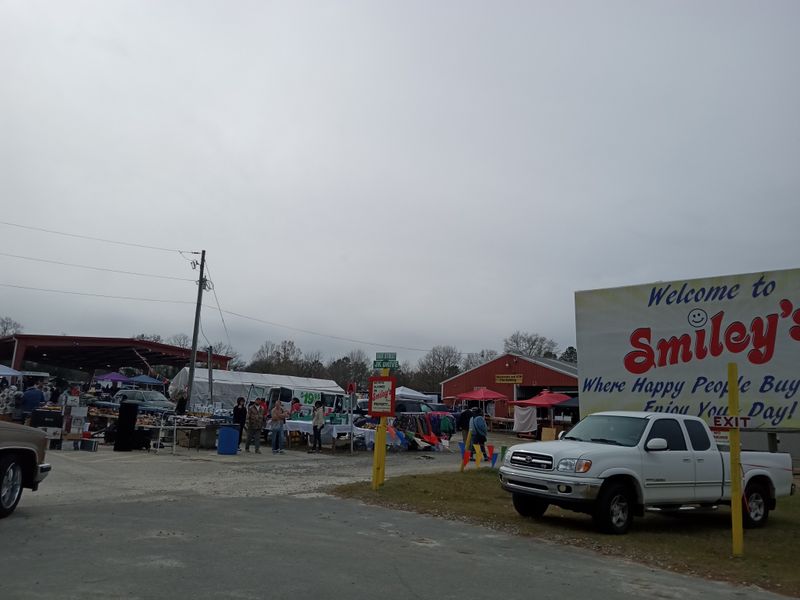 Books and Media Collection