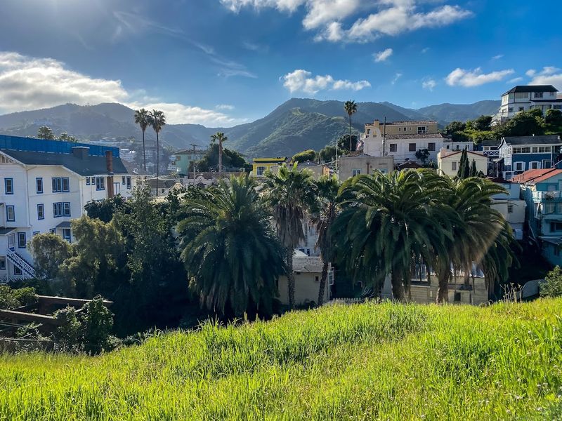 Minimal Rainfall And Clear Skies
