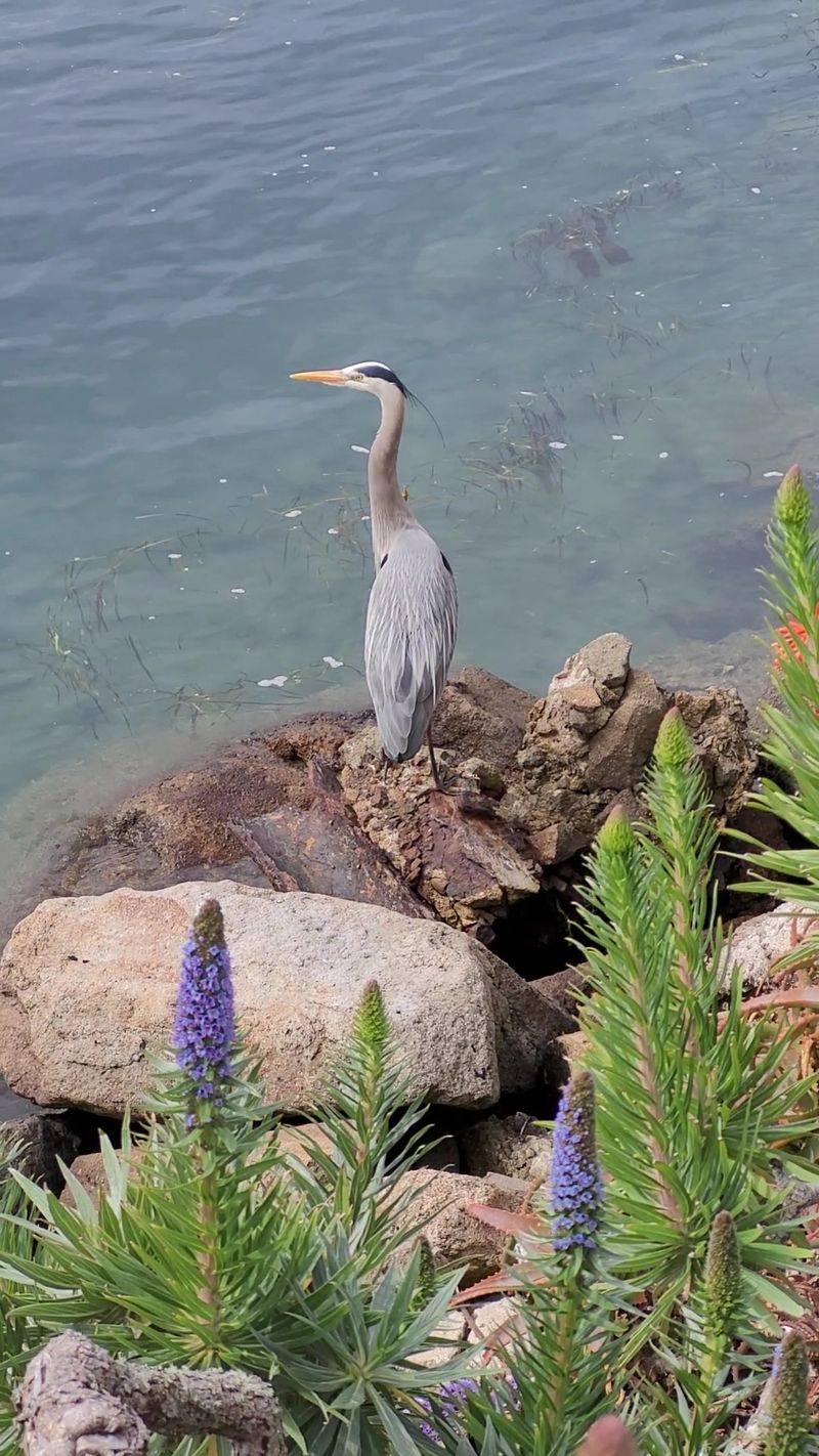 Winter Bird Festival Draws Nature Enthusiasts