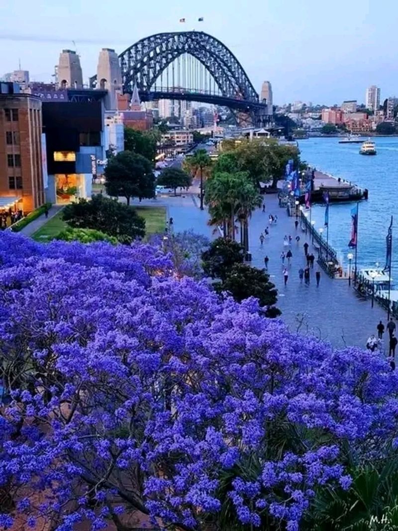 California Ranks Among The Happiest States In The U.S. (Well-Being And Community Fuel Its High Score) - Decor Hint Economic Opportunity Strengthened The Results