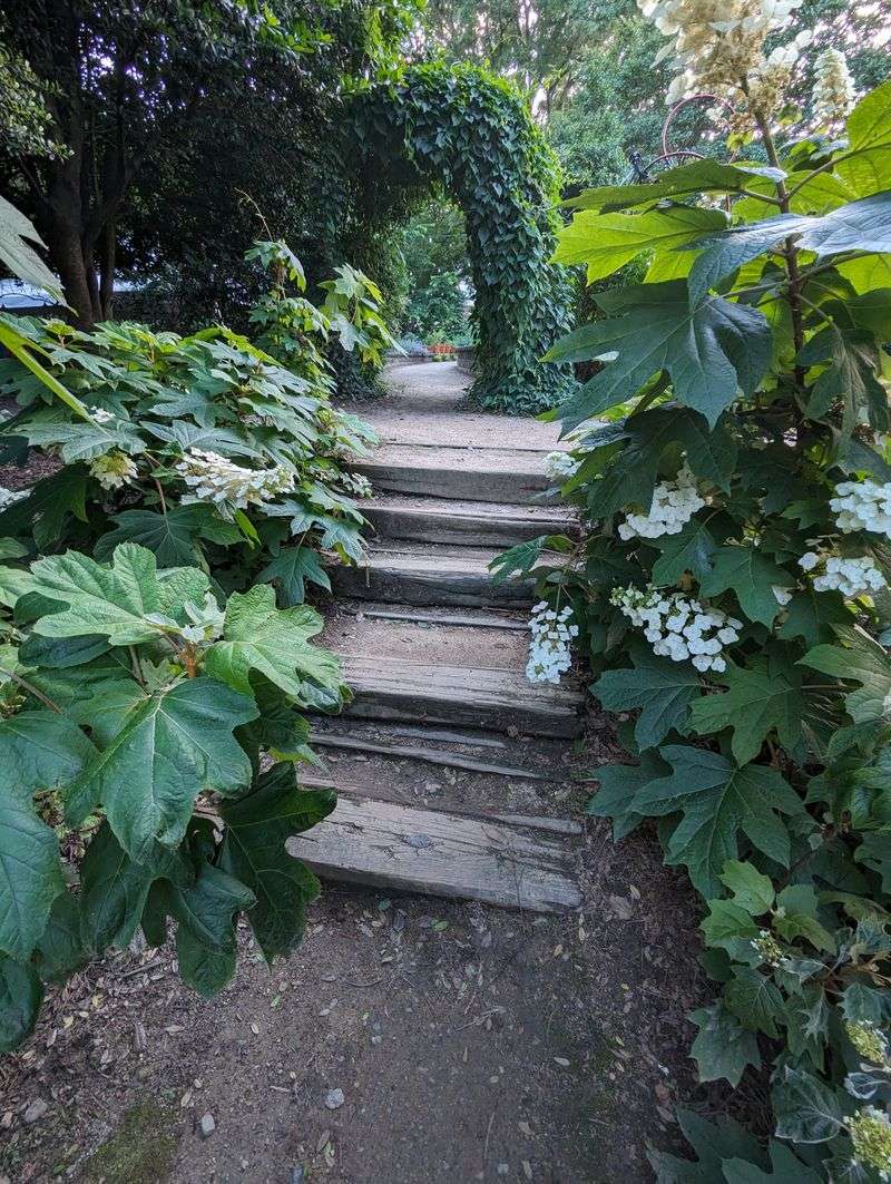 A Photographer's Dream Location