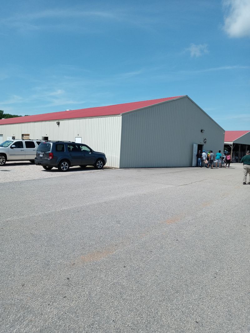 Resilience Through Fire And Rebuilding Efforts