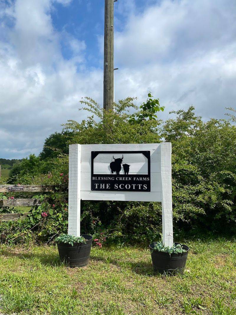 This Authentic Georgia Farm Blessing Creek Farms Georgia Brings Country Living To Life In 2026 - Decor Hint Scenic Beauty Across 127 Acres