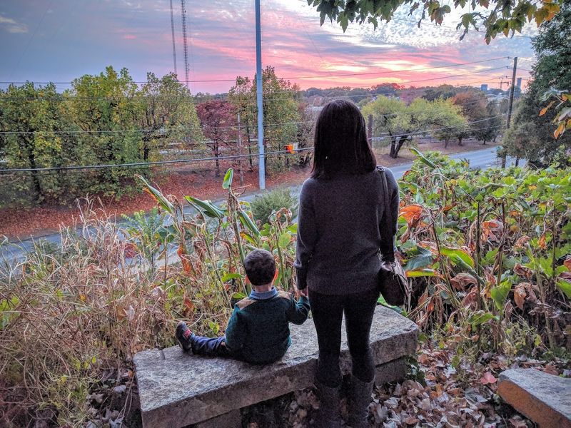 Children's Garden And Playground