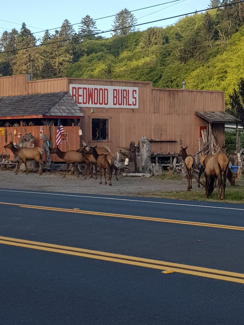 Historic Buildings & Old-Town Charm
