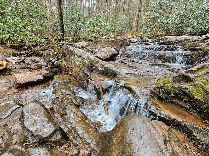 This Is Where You'll Find Georgia's Longest Swinging Bridge Hanging Suspended Over A Pristine River - Decor Hint A True Escape Into Georgia's Wild Natural Beauty