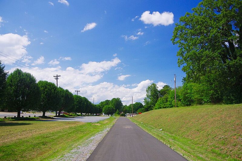 Suitable For Various Skill Levels And Ages