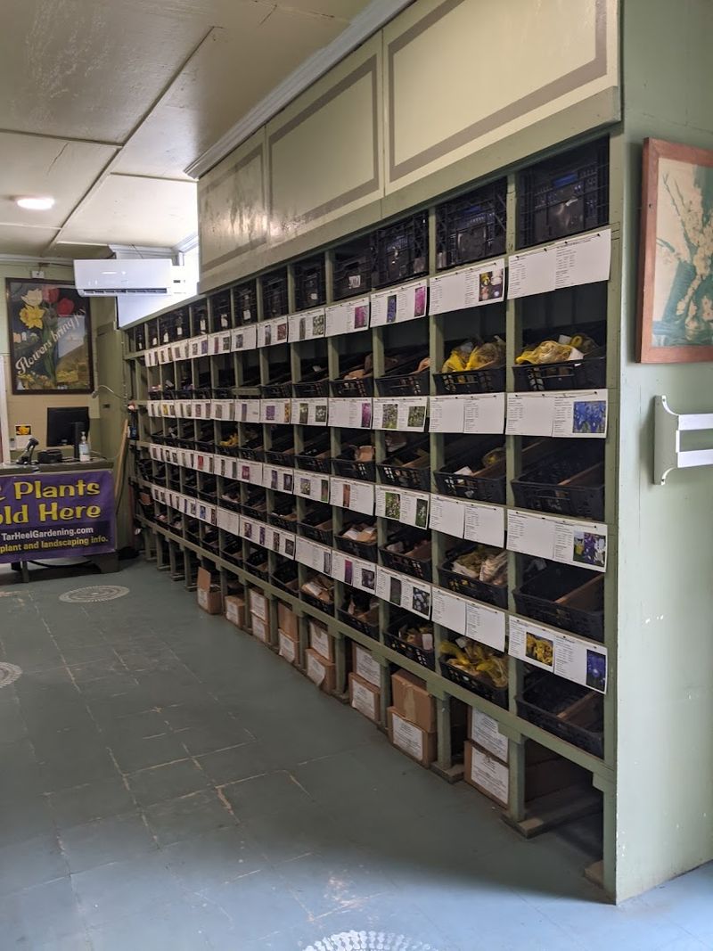 Fundraising Programs For Organizations