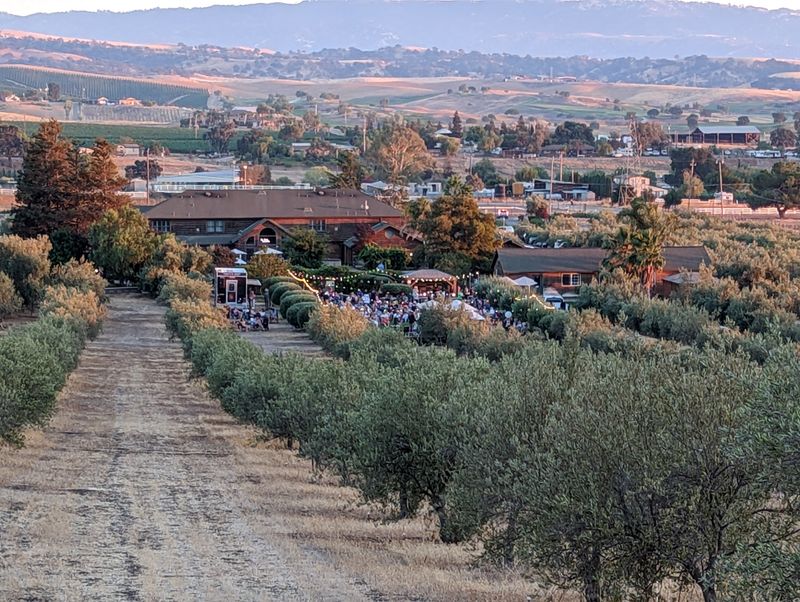Evening Wine And Olive Oil Tasting Gathering Hour