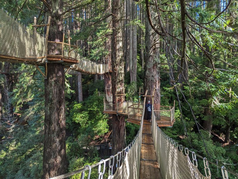 Trees Of Mystery, Klamath
