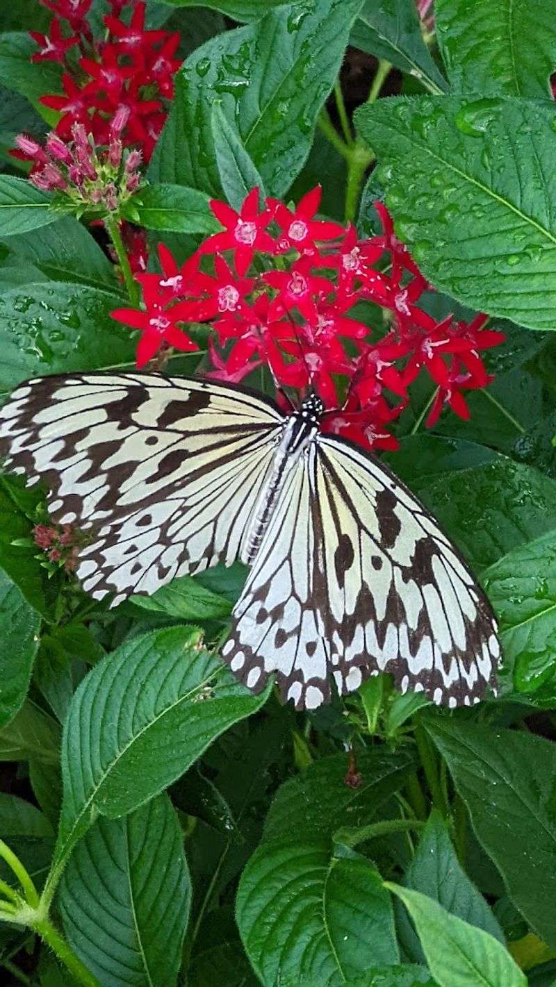 LEED Certification That Proves Green Design Can Be Gorgeous