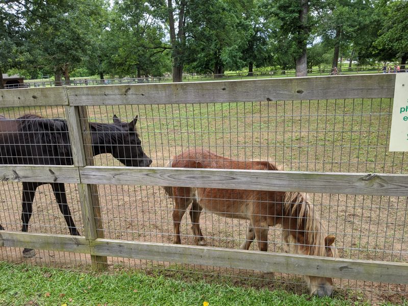 Affordable Family Day Trip