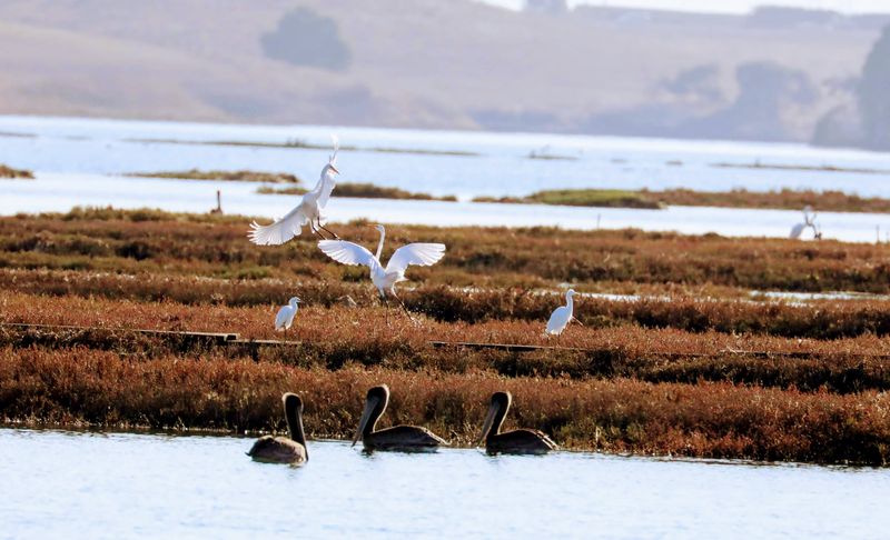 Free Admission Makes Nature Accessible to All