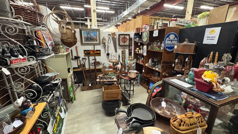 A Half-Day Destination Worth Every Minute