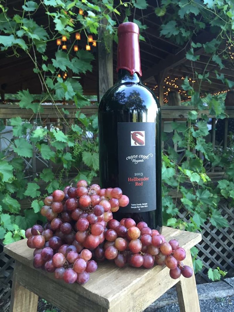 This Georgia Vineyard Turns A Simple Glass Of Wine Into A Moment - Decor Hint Unique Wine Varieties You Won't Find Everywhere