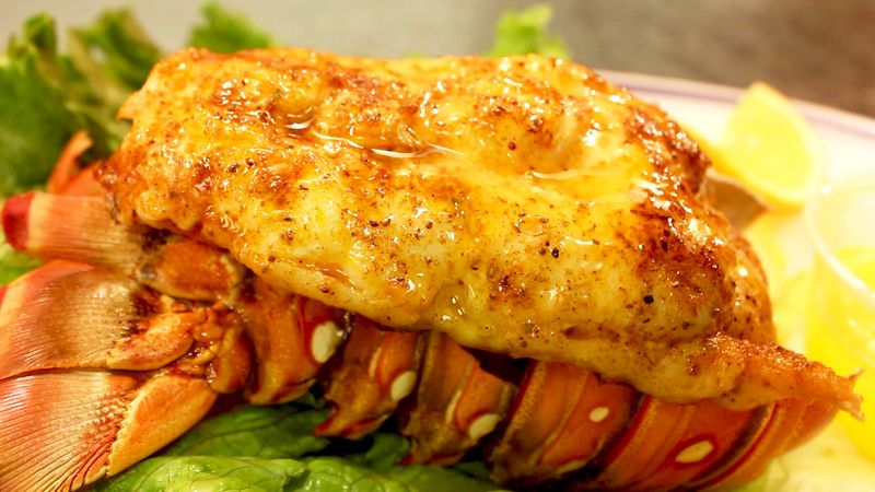 Oysters Worth Ordering Every Single Time