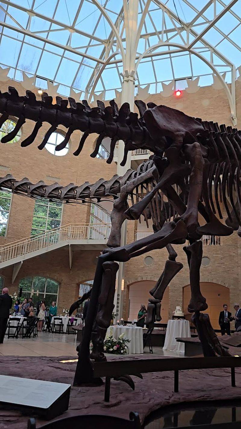 Step Into The Land Of Giants At This Incredible Atlanta Georgia Museum That Houses The World's Largest Dinosaurs - Decor Hint World of Shells