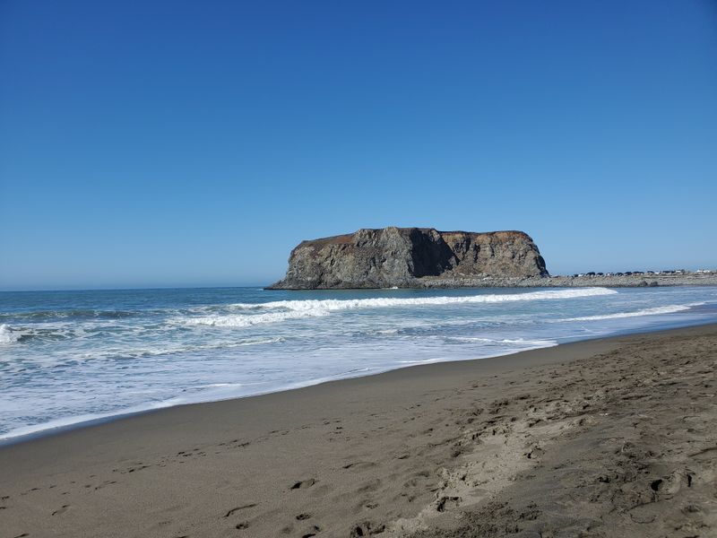 Goat Rock Beach