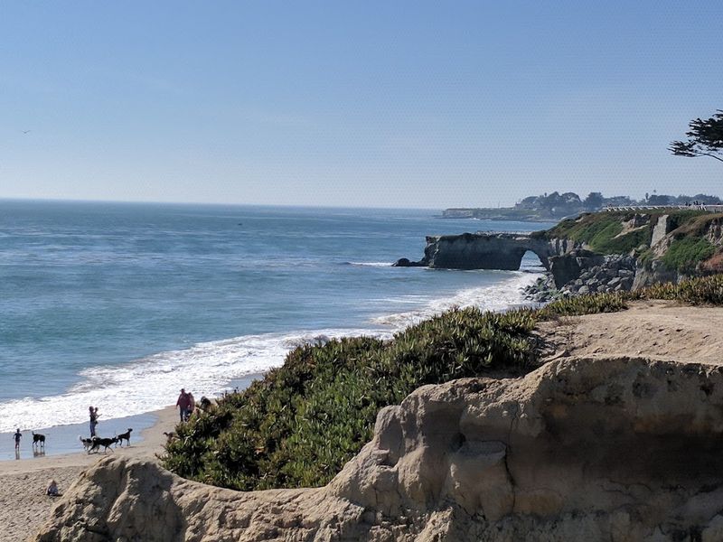 14 Unforgettable Dog Beaches In California That Will Make Your Pup Happier Than Ever - Decor Hint Lighthouse Field State Beach