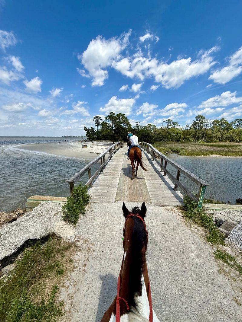 Sunset Horseback Riding on Jekyll Island Beach