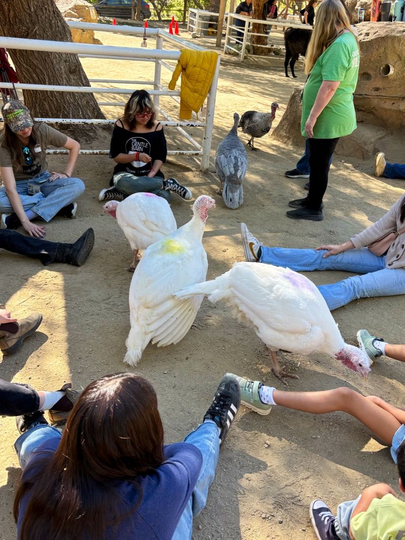 Private Tours Available Throughout The Week