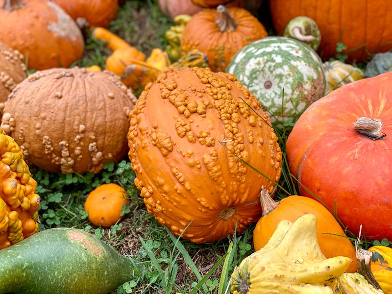 Experience Seasonal Changes on the Farm