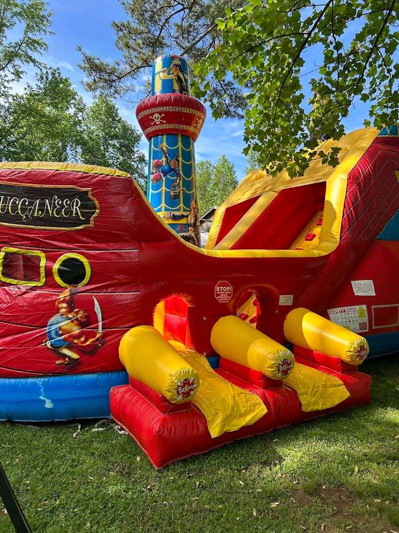 These Up-Close Alpaca Moments Make L & R Alpaca Haven Farm Georgia Worth The Trip - Decor Hint Community Events That Build Real Connections