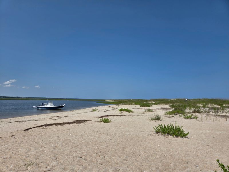 Protected Bird Species Paradise