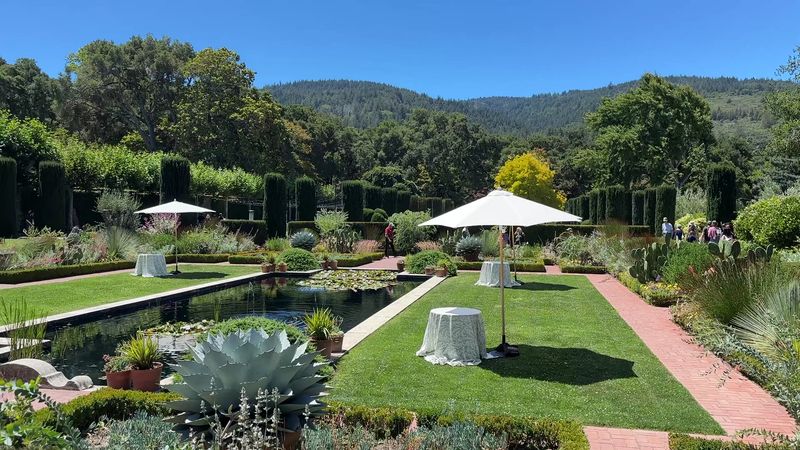 Flora Parties Encourage Creative Expression