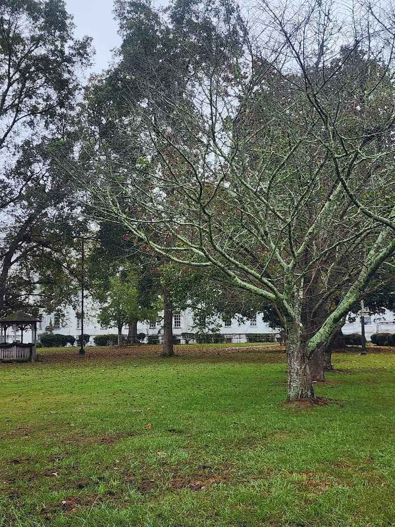 Ongoing Visitor Interest: Researchers, History Buffs, and Curious Travelers