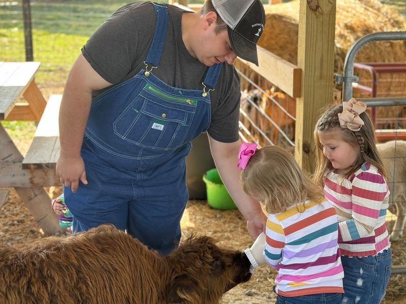This Authentic Georgia Farm Blessing Creek Farms Georgia Brings Country Living To Life In 2026 - Decor Hint Seasonal Events Like Cow Hug Day