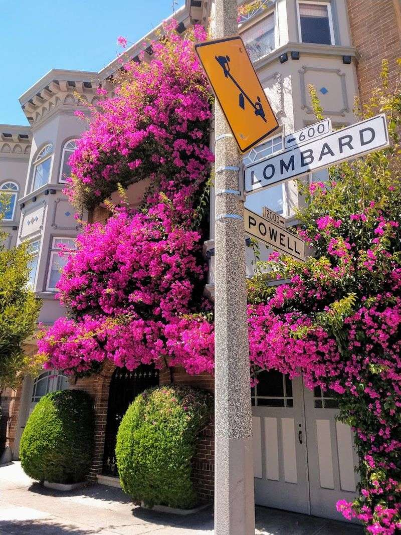 Visiting Tips And Best Times