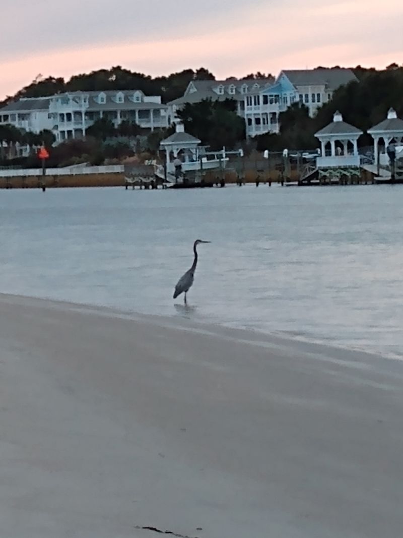 Year-Round Mild Climate