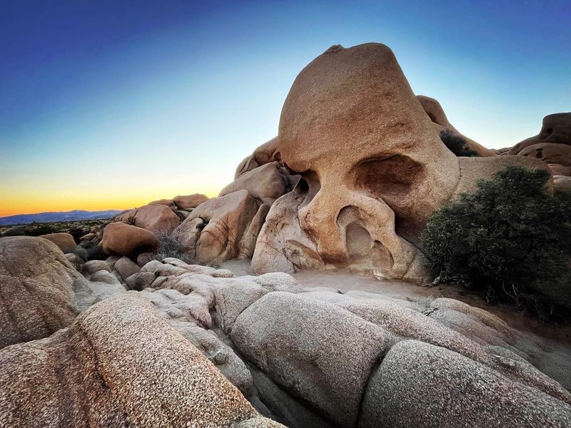 Wildlife Finds Shelter Among The Rocks