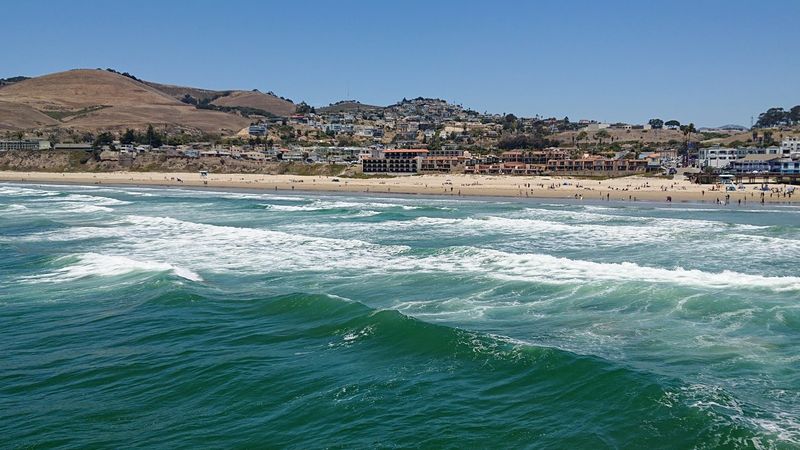 14 Unforgettable Dog Beaches In California That Will Make Your Pup Happier Than Ever - Decor Hint Pismo Beach