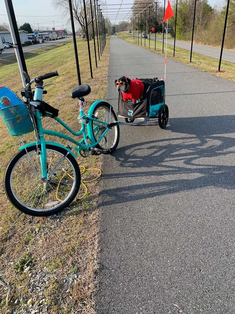 Safety Rules Keep The Trail Orderly