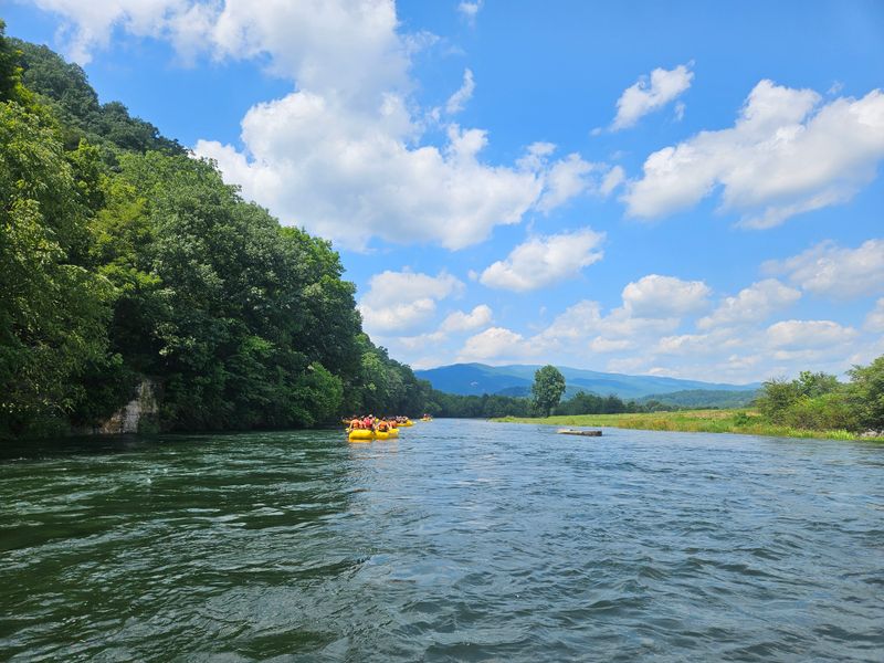 Wildcat Lake's Peaceful Shoreline