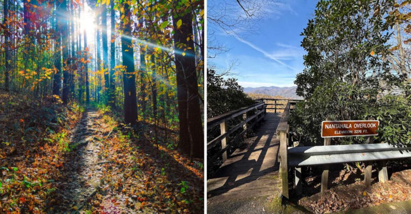 Discover Georgia’s Highest State Park With Breathtaking Views From A 3,640-Foot Summit