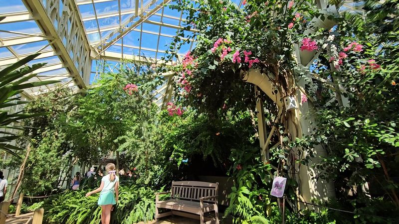 An Immersive Tropical Environment Unlike Anything Nearby